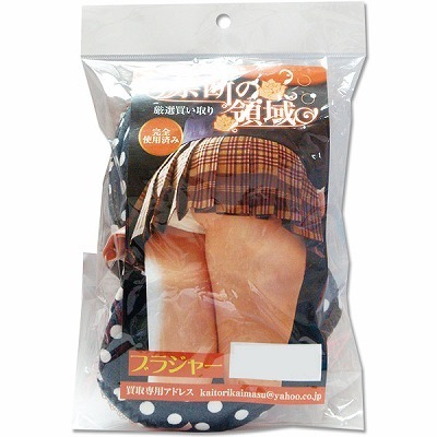 �֒f�̗̈�@�i�u���W���[�j