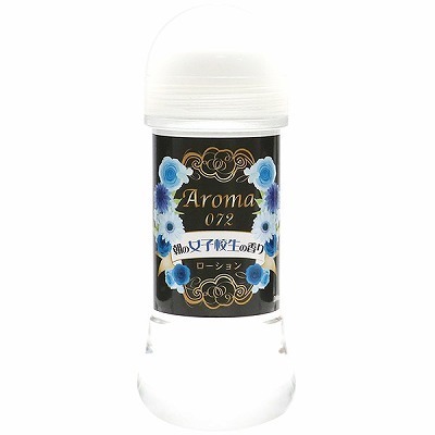 �`�q�n�l�`�@�O�V�Q�@�i���̏��q�Z���̍���j�@�Q�O�O����