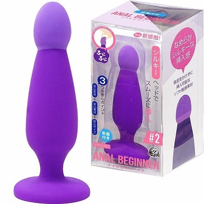 �A�i���r�M�i�[�@�i�Q�j